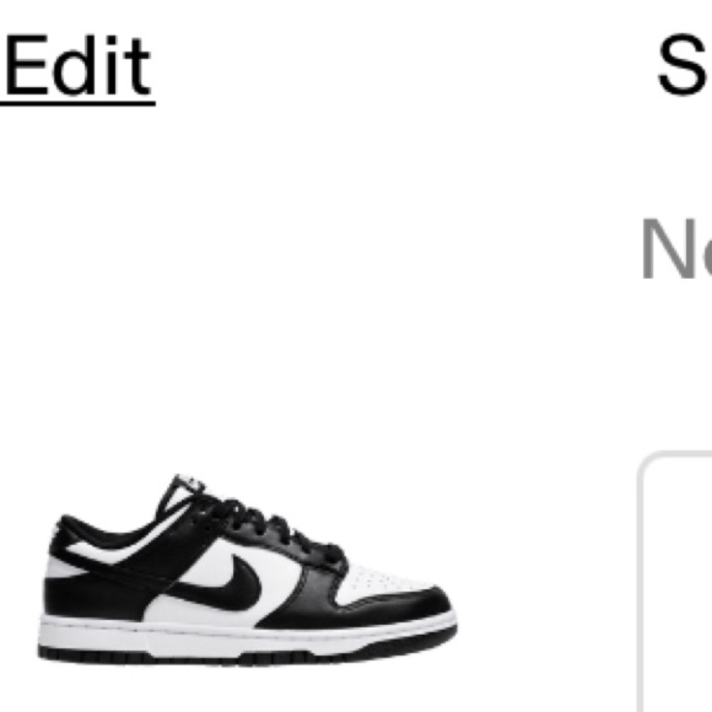 Nike Low Dunks Authentic
